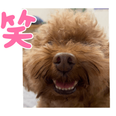 vip三寶