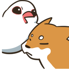 shiba inu and sparrow