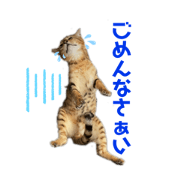 878sai_20220517144430
