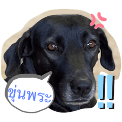 BALIN_20220517130622
