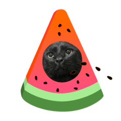 我有15ㄓ貓（3）