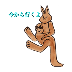 kangaroo with baby