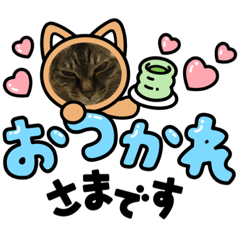 yokko_20220517174827