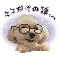 Funny dog photo sticker