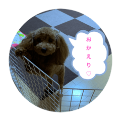 HANA_202205172107134