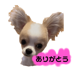 tomoyo_20220518083208