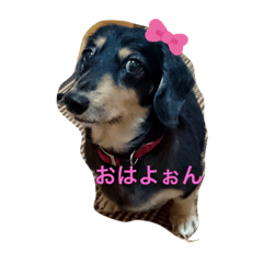 yuka_20220518015654