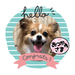 Tomomi_20220518093330