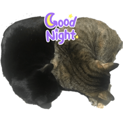 yukari_20220517235003