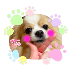 akari_20220518010918
