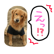 momorui
