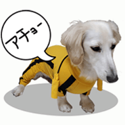 Doggy stickers 1