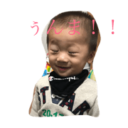 hio haru