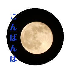 身近な写真で一言あいさつ