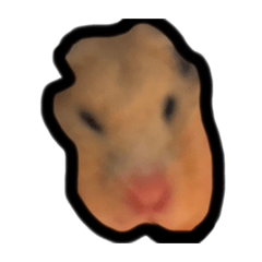 寶寶咩咩大冒險