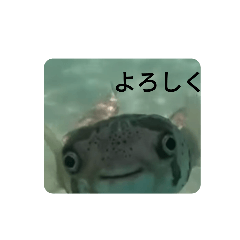 SO_20220517221401