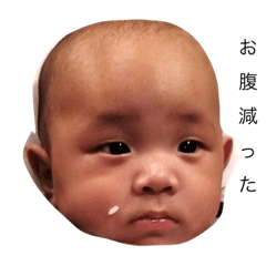 かしのきゆうか