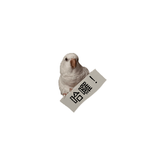 可愛動物靜態貼圖