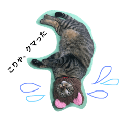 nyaaaaaa