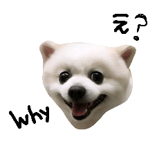 cute.s