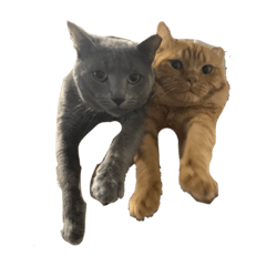 sayuri_20220517214756