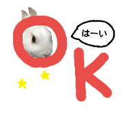 Rabbit(1)