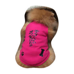 3 dogs