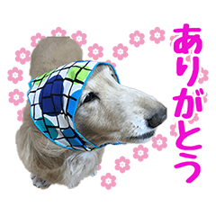 CHOCO'S TUBUYAKI Sticker