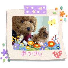 HANA_20220518141723