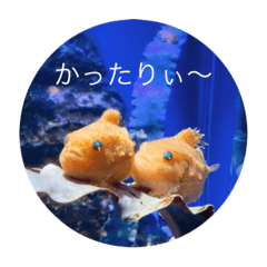 YUKA_20220518151617
