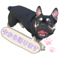 hikari_20220518151652