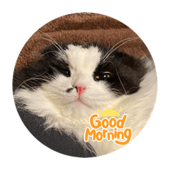 KAITO_20220518173850