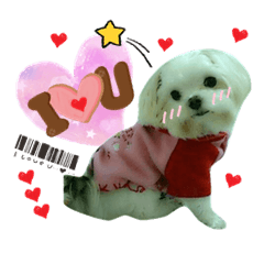 我最愛的家人LOVE
