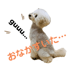 natsumi_20220518211550