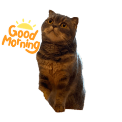 KAITO_20220518173957