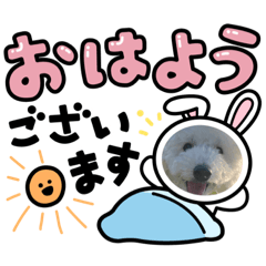 Yuka_20220518225916