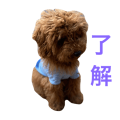 KAITO_20220518235031