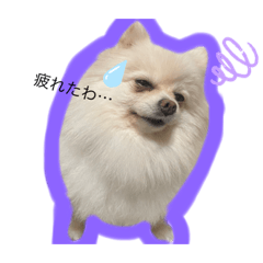 aoi_20220519003142