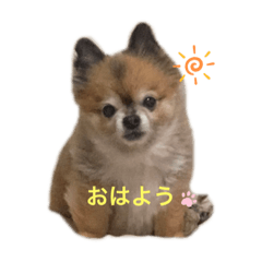 sanae_20220518201022