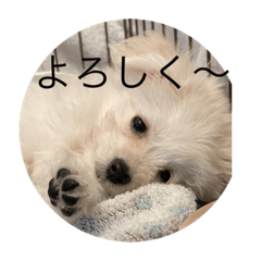 yamada_20220518201949