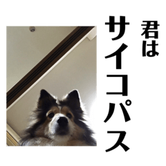 Ai_20220518225836