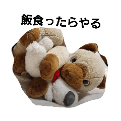 nekoyamasan_20220519122016