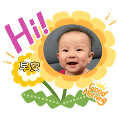 可愛的菲菲日常