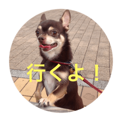 My.dog.