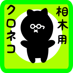 black cat sticker for aiki