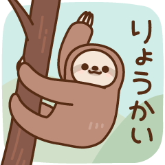lazy tree sloth