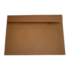 Daily Necessities Series : Envelope