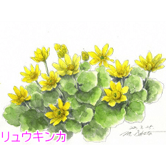 handwritten flowers with japanese name
