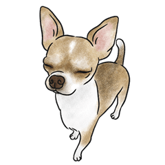 konigiwa chihuahua sticker