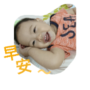 egg*